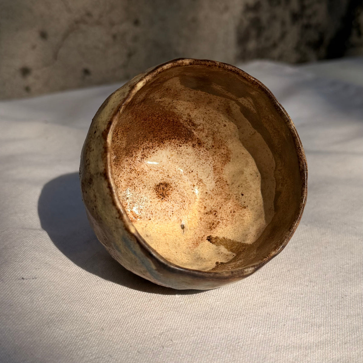 NOMAD Cup S