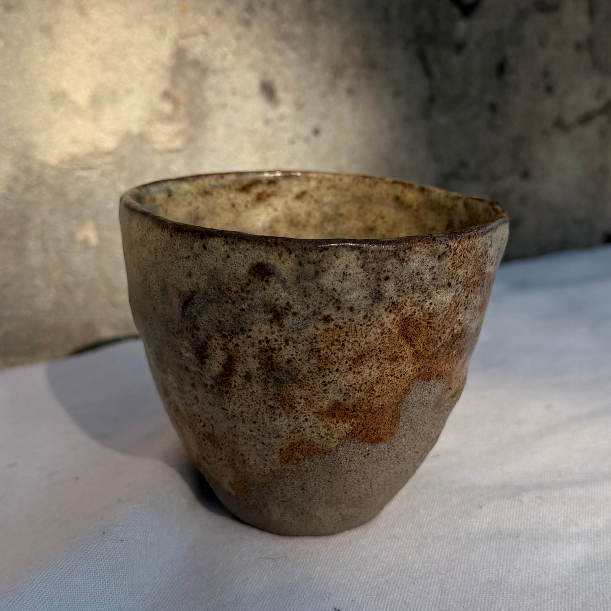 NOMAD Cup M