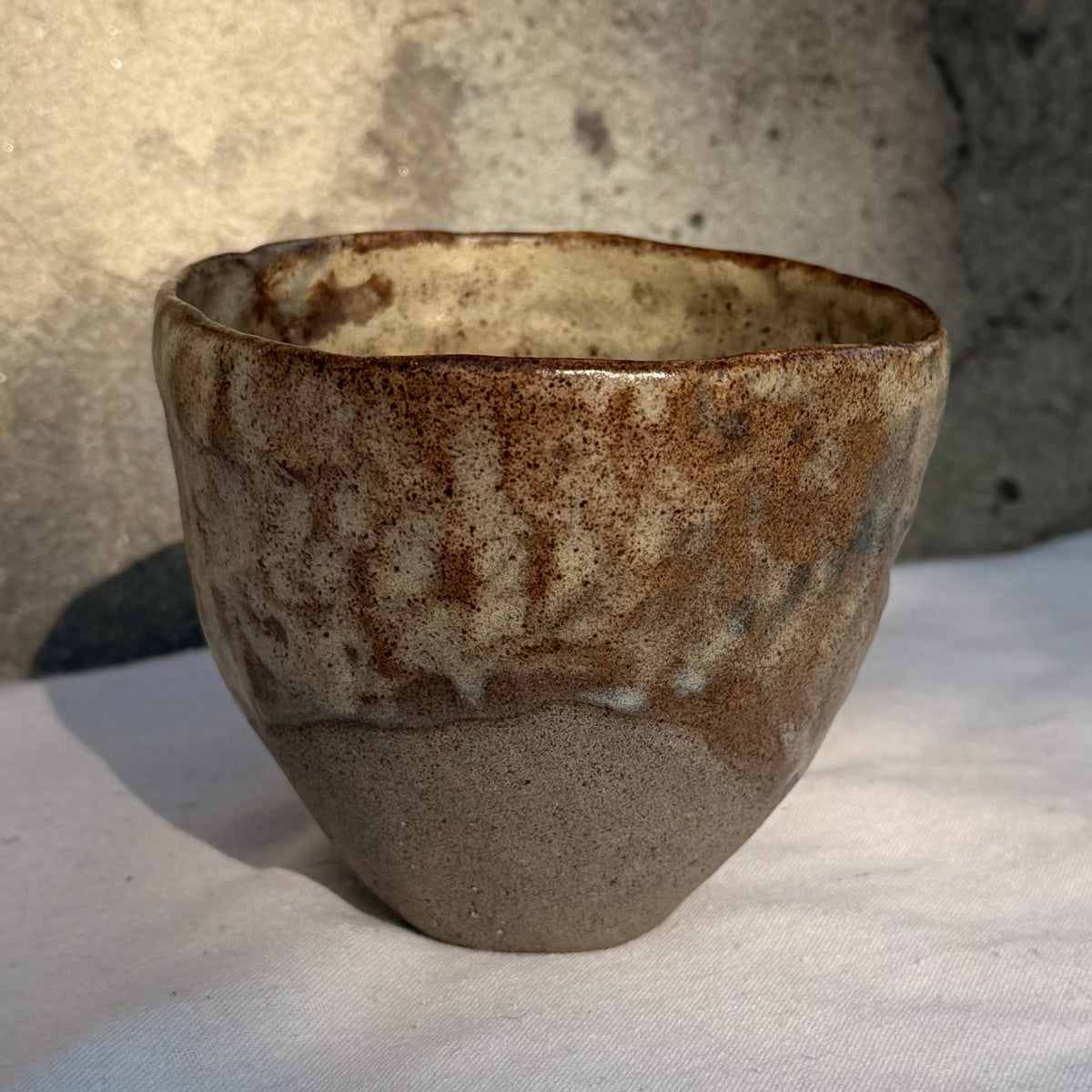 NOMAD Cup M