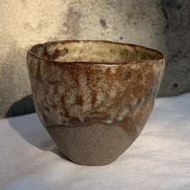 NOMAD Cup M
