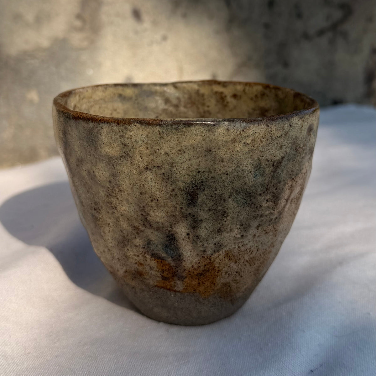 NOMAD Cup M