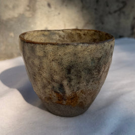 NOMAD Cup M